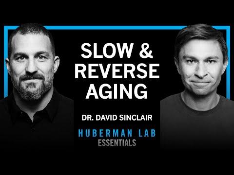 Harvard Geneticist Reveals Science-Backed Methods to Slow and Reverse Aging