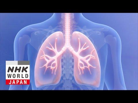 COPD Treatment Advances May Extend Lifespan Through Better Lung Function